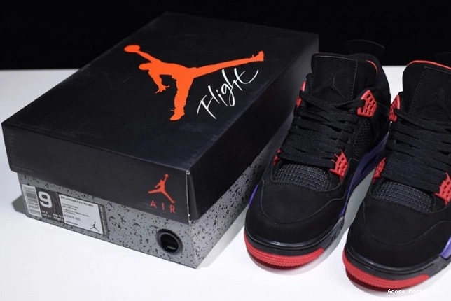 Retro Raptors
